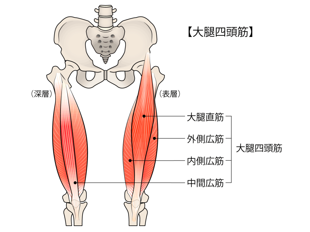 タイプ別 腰痛予防 改善におすすめのストレッチ６種 Orange Sports Conditioning